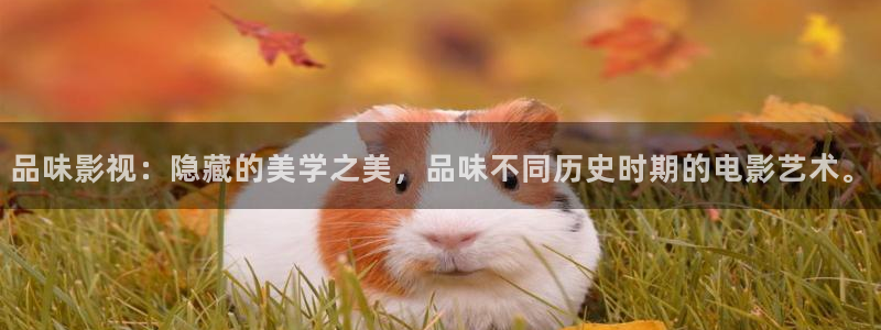 青丝影院电视剧在线播放电视剧：品味影视：隐藏的美学之美，品味不同历史时期的电影艺术。