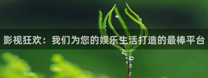 青丝影院免费观看电视剧策驰：影视狂欢：我们为您的娱乐生活打造的最棒平台