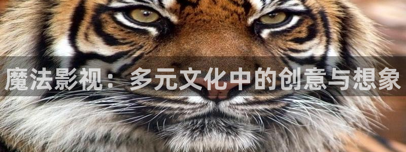 青丝影院电视剧在线观看：魔法影视：多元文化中的创意与想象